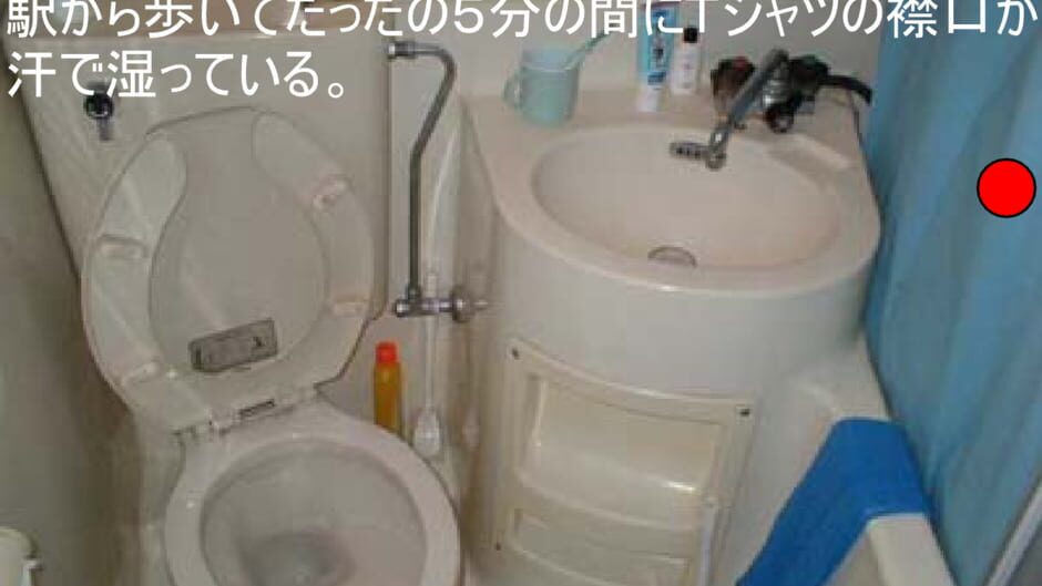 Bathroom screenshot 1