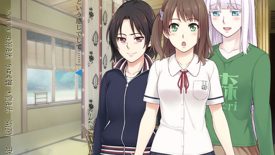 Yotsudomoe screenshot 3