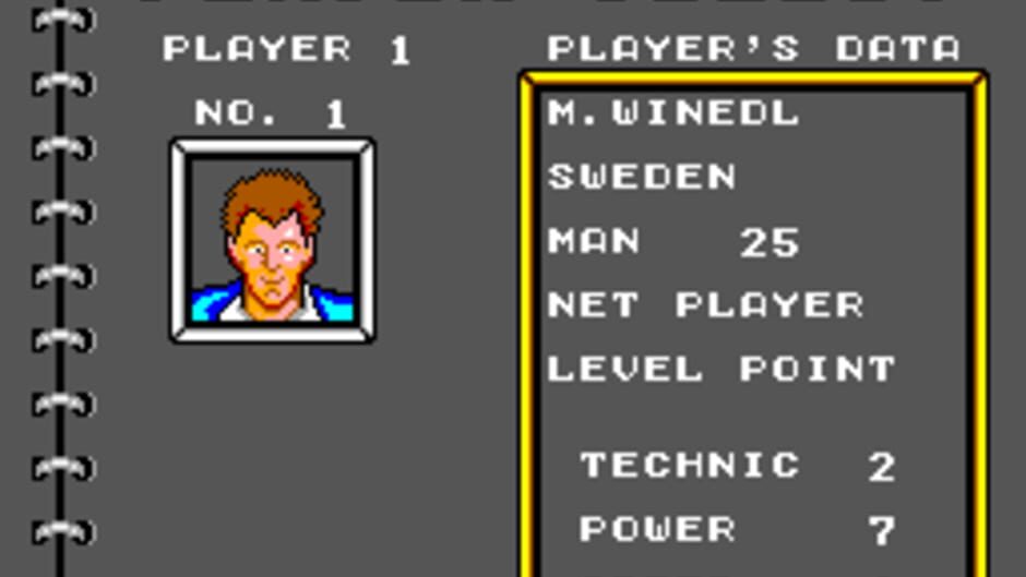 Tennis Ace screenshot 1