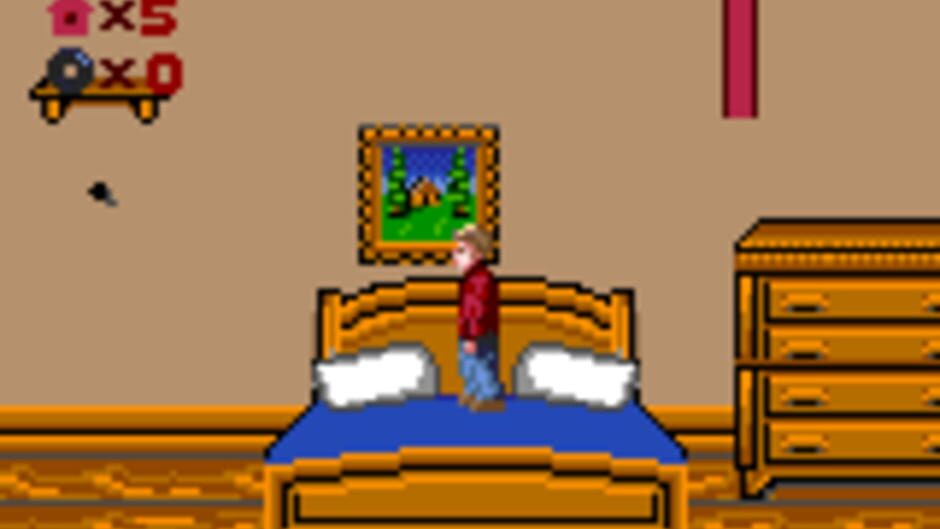 Home Alone screenshot 1
