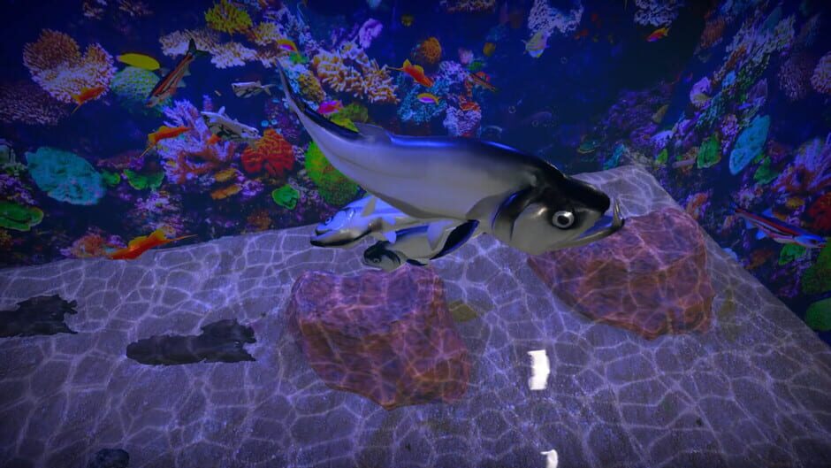 Aquarist: American Fish DLC screenshot 2