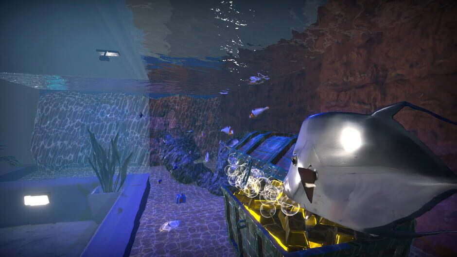 Aquarist: American Fish DLC screenshot 9
