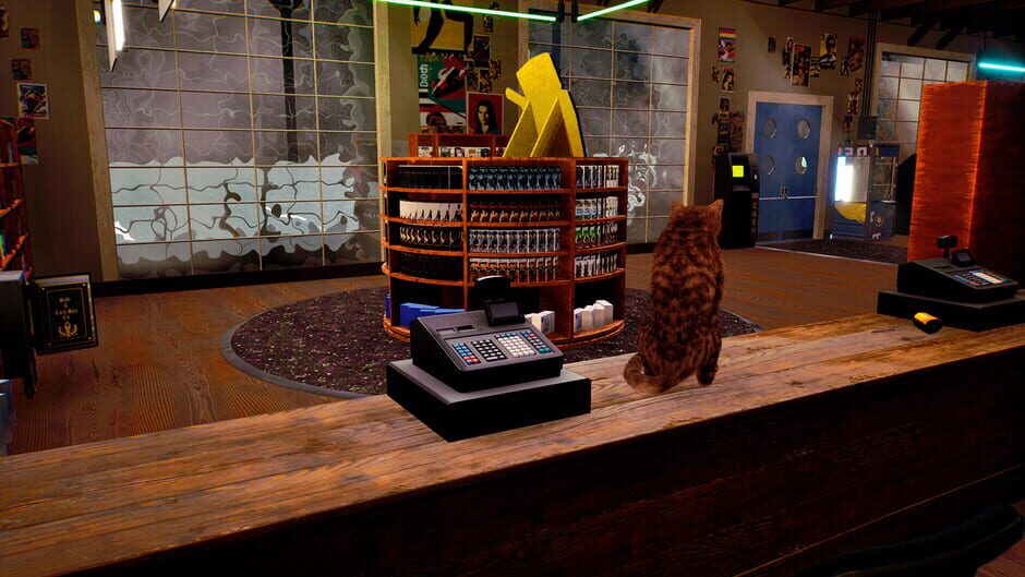 My Cat Scattered Games: Tidy Videogame Supermarket screenshot 5
