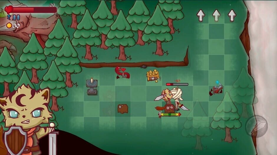 The Secrets of the Forest screenshot 2