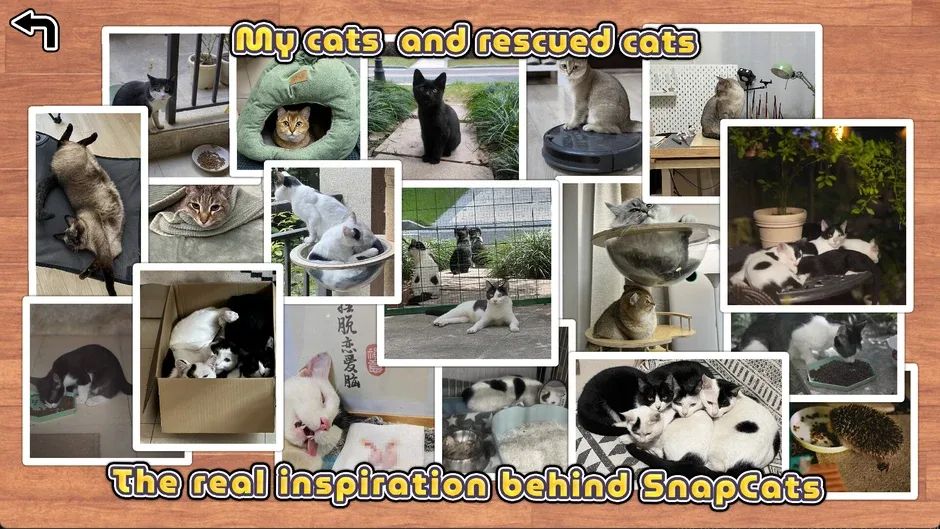 Кадър от SnapCats