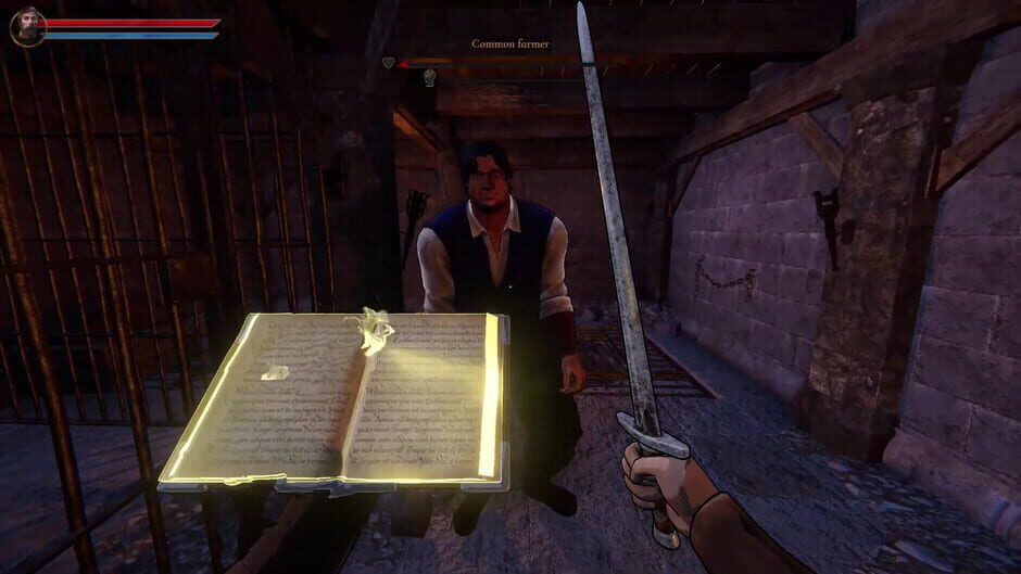 Inquisitor Simulator screenshot 2