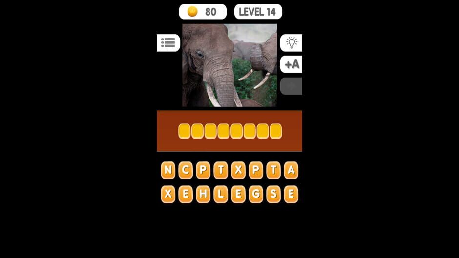 Photo Quiz: Animals screenshot 13