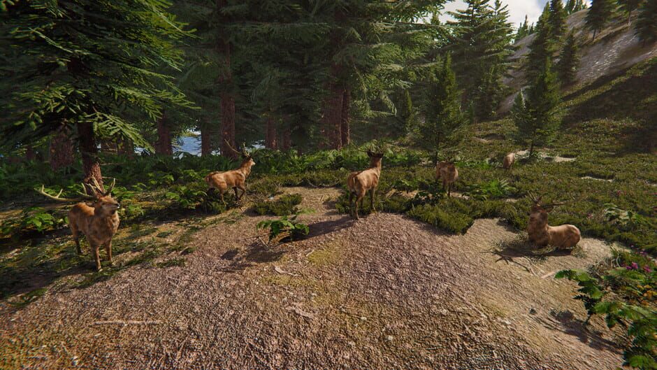 The Lost Hunter screenshot 3