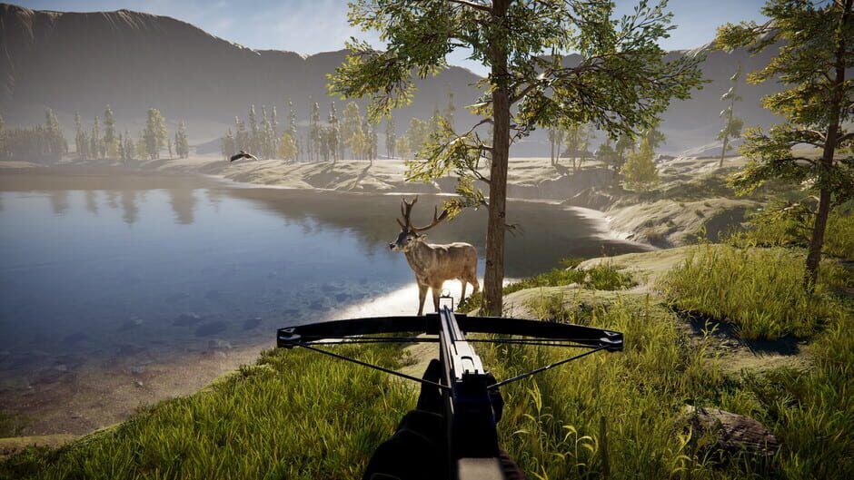 The Lost Hunter screenshot 13