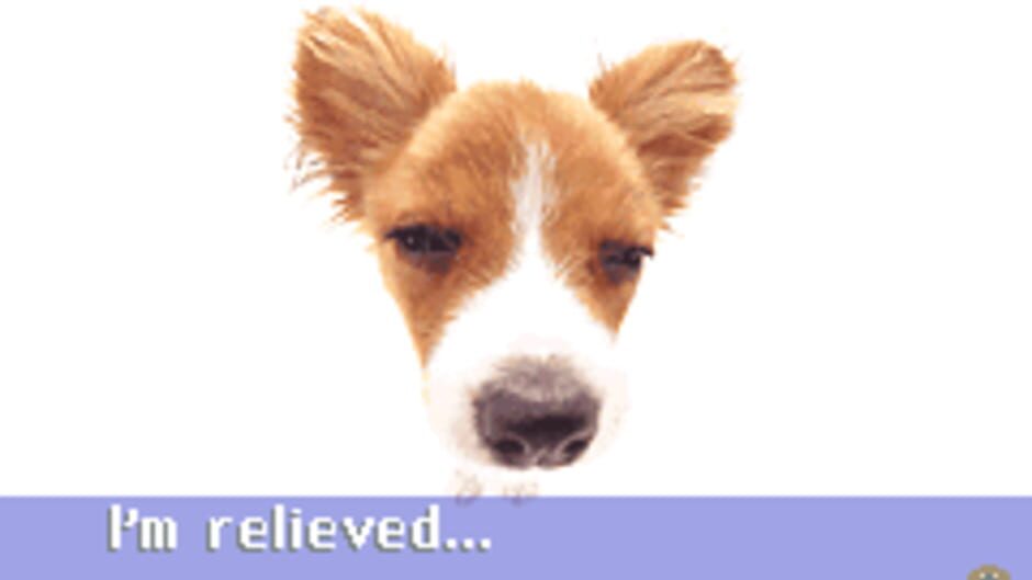 Pocket Dogs 스크린샷 5