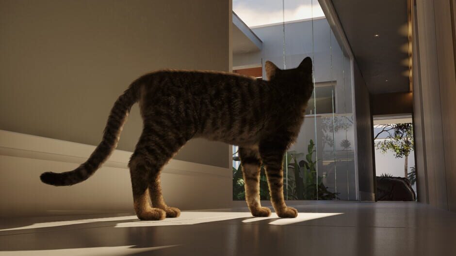 Whiskers of Yesterday screenshot 1