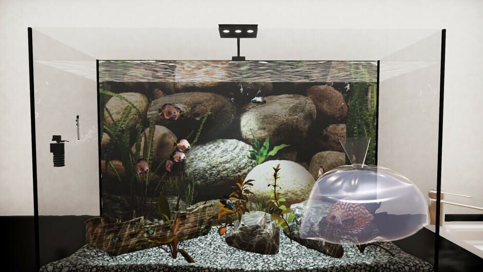 Aquarist: Aquatic Supermarket DLC screenshot