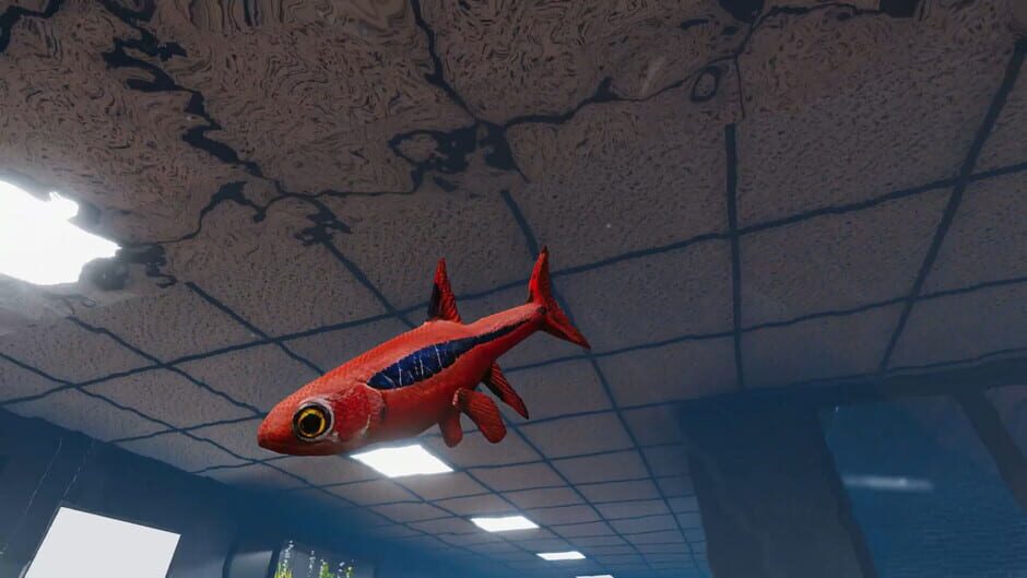 Aquarist: Asian Fish DLC screenshot
