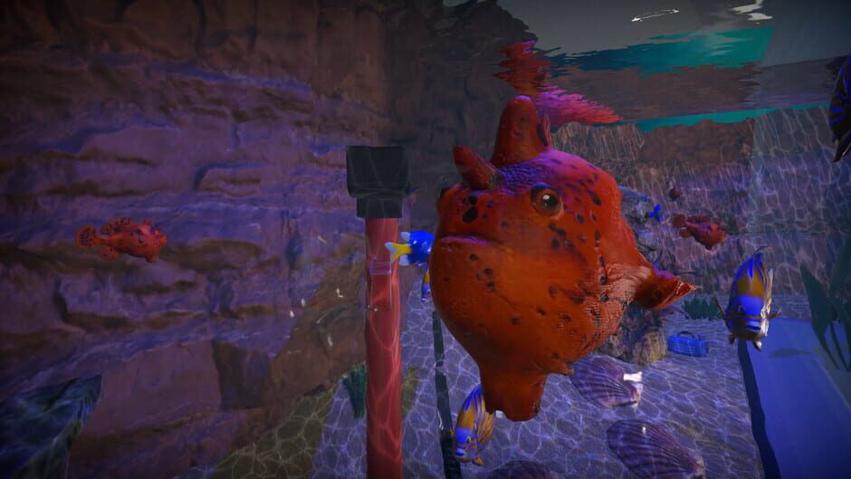 Aquarist: Asian Fish DLC screenshot