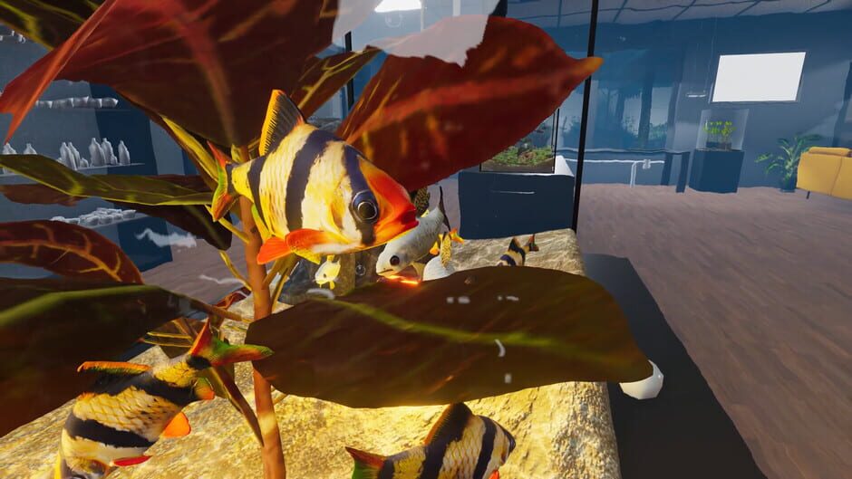 Aquarist: Asian Fish DLC screenshot
