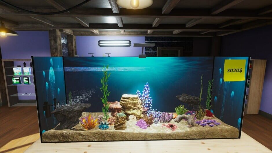 Aquarist: Asian Fish DLC screenshot