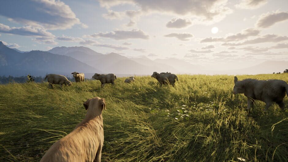 Goral: Highlander Simulator screenshot