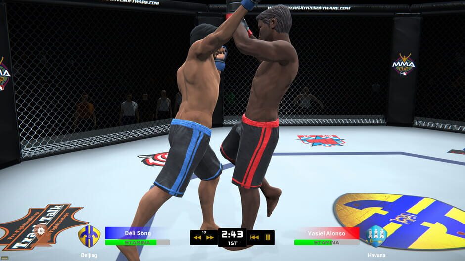 MMA Team Manager Screenshot