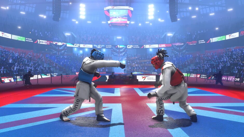 Taekwondo Grand Prix Screenshot