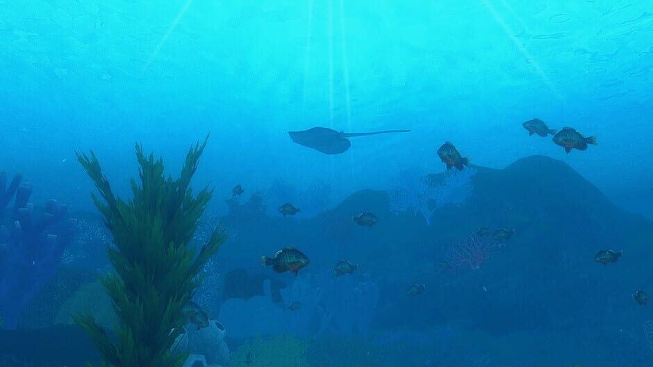 Ocean's Treasures screenshot