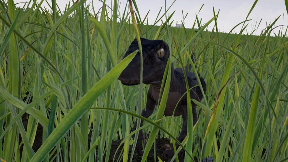 Raptor: Cretaceous Island Screenshot