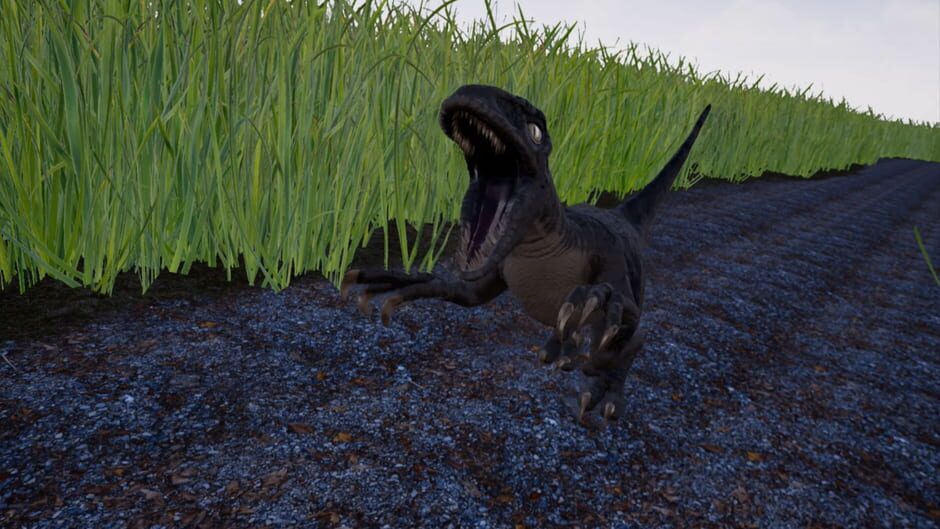 Raptor: Cretaceous Island Screenshot