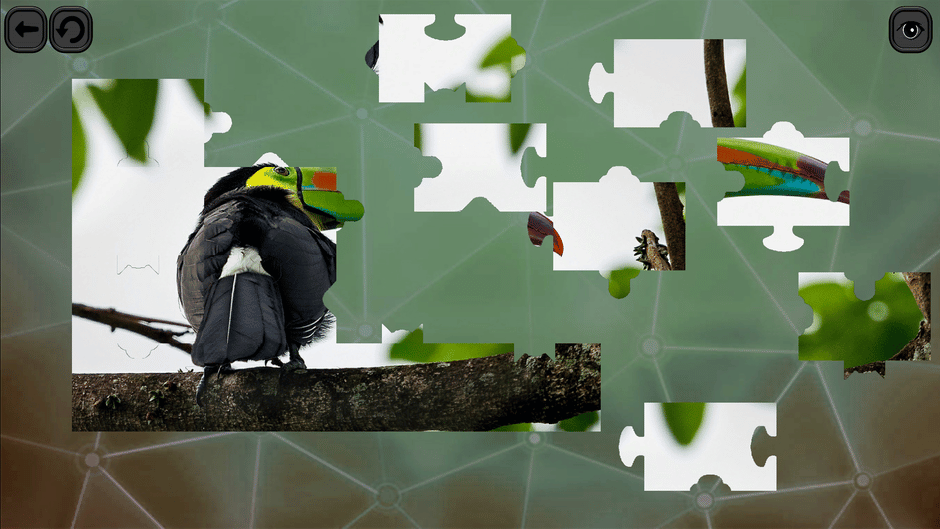 Puzzles for Smart: Birds Screenshot