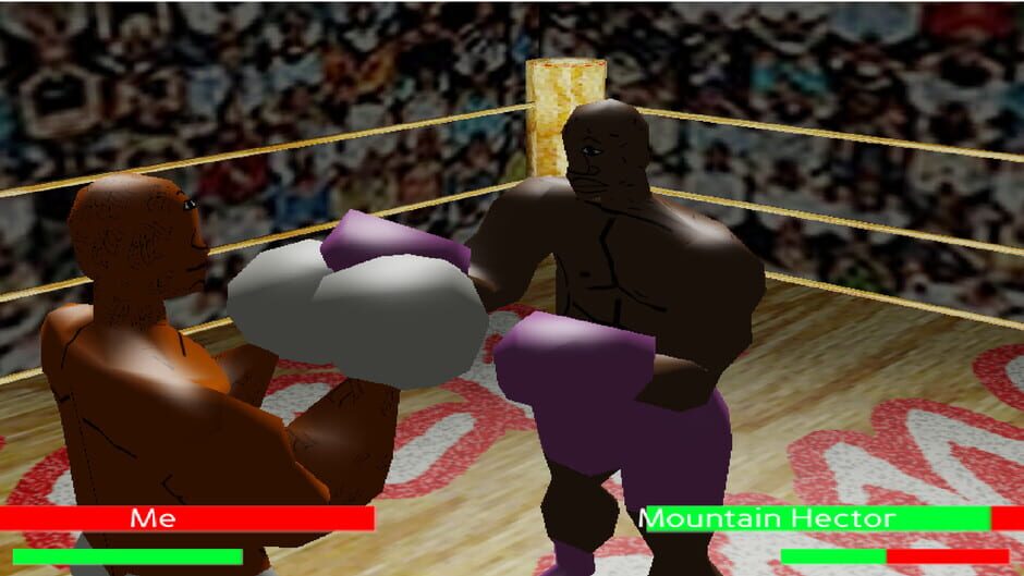 Teck Boxing 3D screenshot