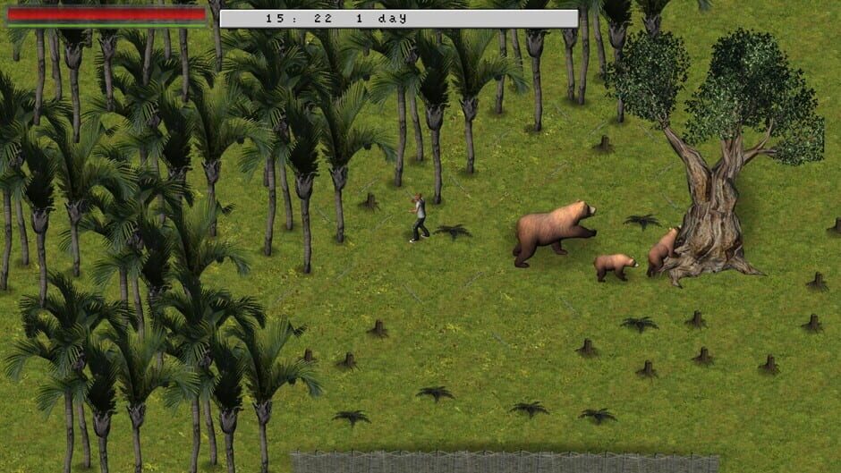 Island 404 Screenshot