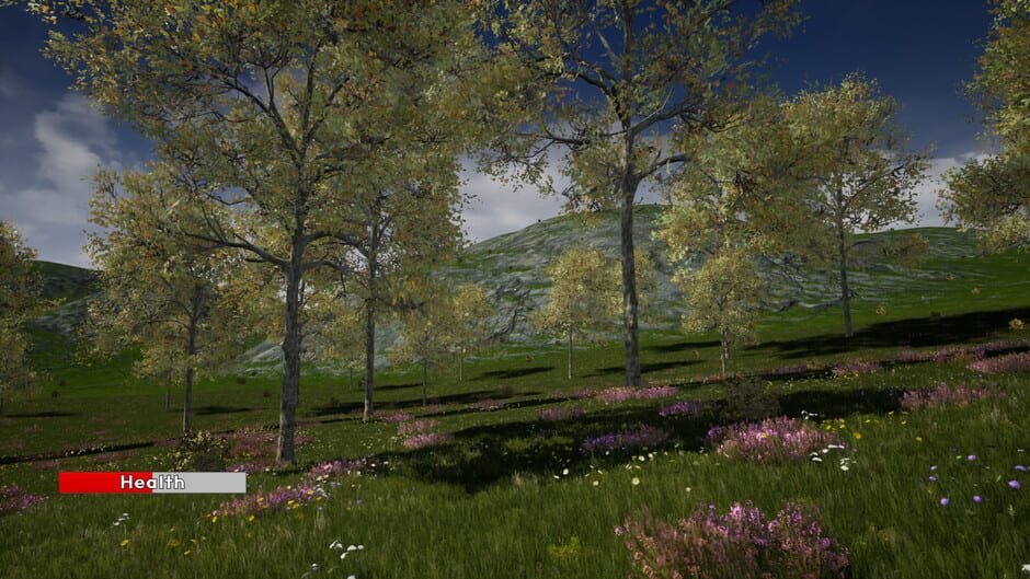 Medieval Towns Screenshot