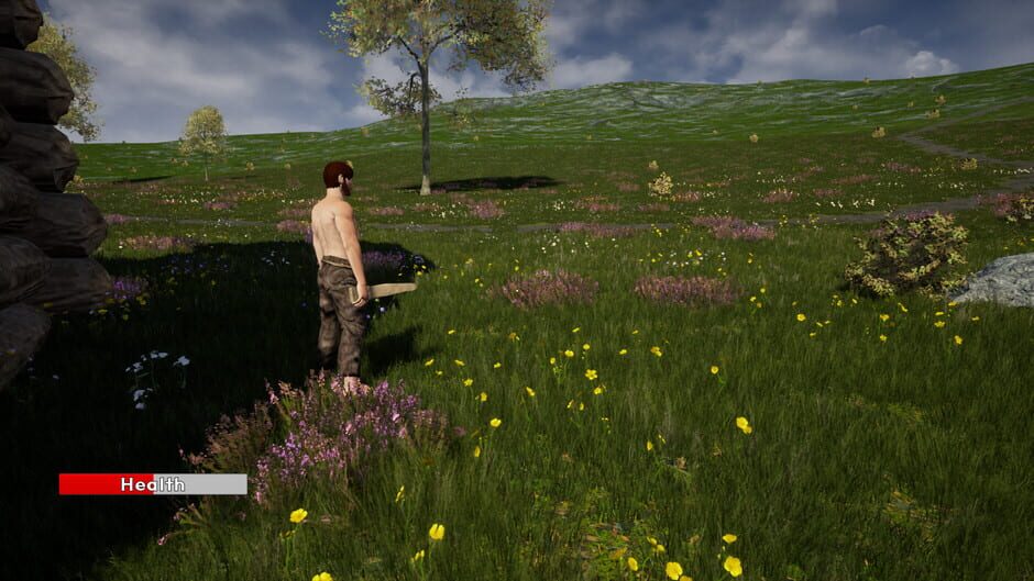 Medieval Towns Screenshot