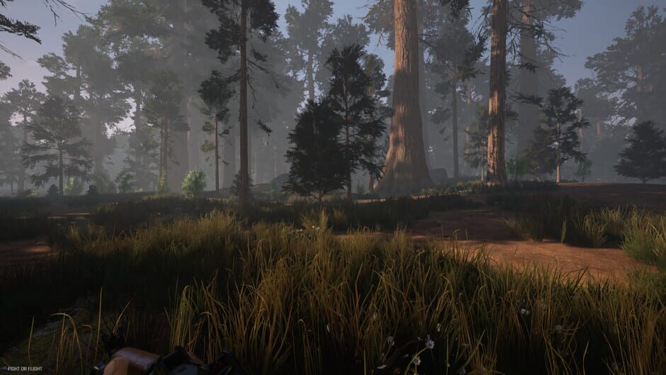 Fight or Flight Screenshot