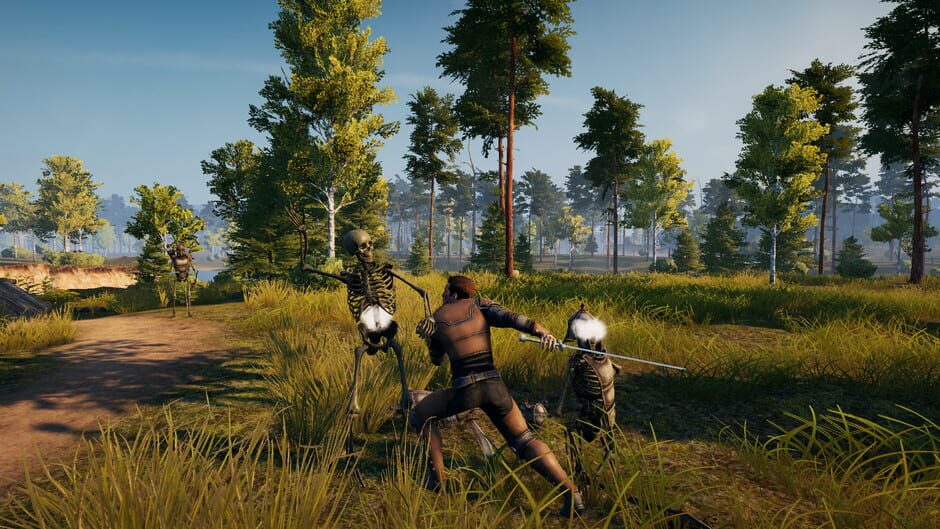 Swordbreaker: Back to The Castle Screenshot