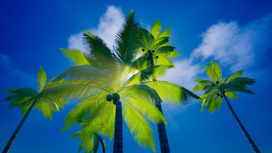 My Island Screenshot