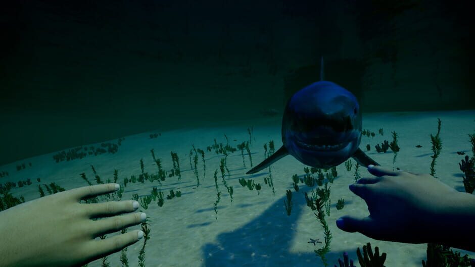 My Island Screenshot