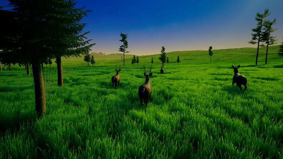 My Island Screenshot