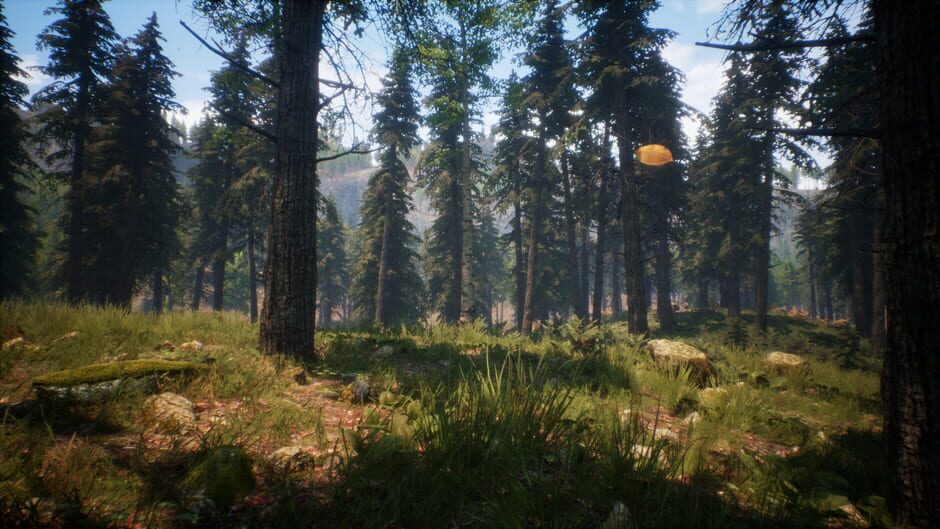 Light The Way Screenshot