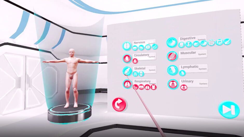 สกรีนช็อตจาก VRLab Academy: Anatomy VR (รูปที่ 2)