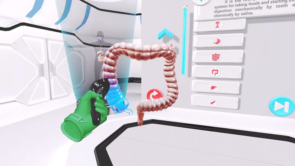 สกรีนช็อตจาก VRLab Academy: Anatomy VR (รูปที่ 5)
