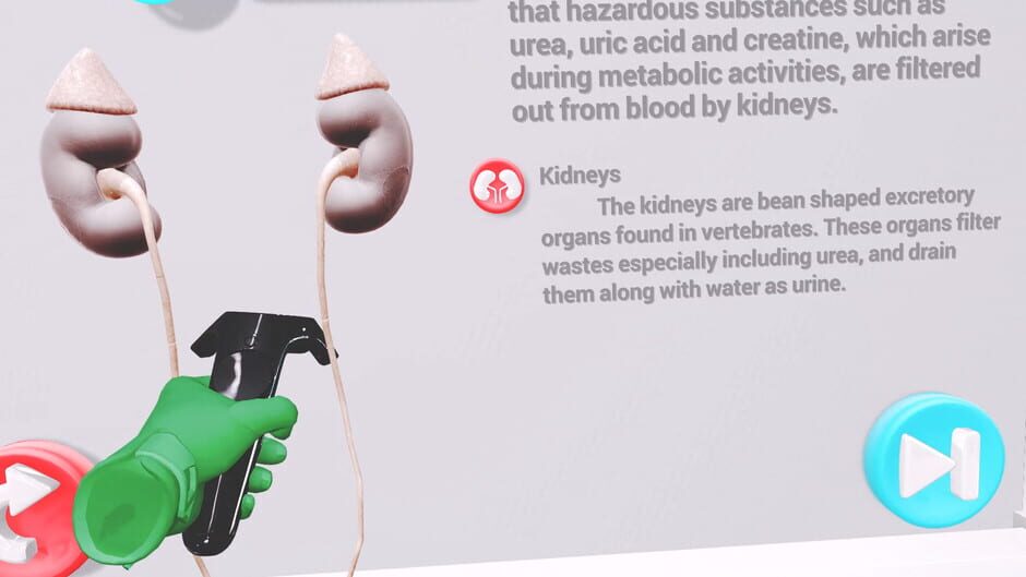 สกรีนช็อตจาก VRLab Academy: Anatomy VR (รูปที่ 4)