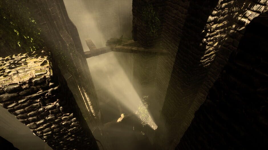 The Woods: VR Escape the Room Screenshot