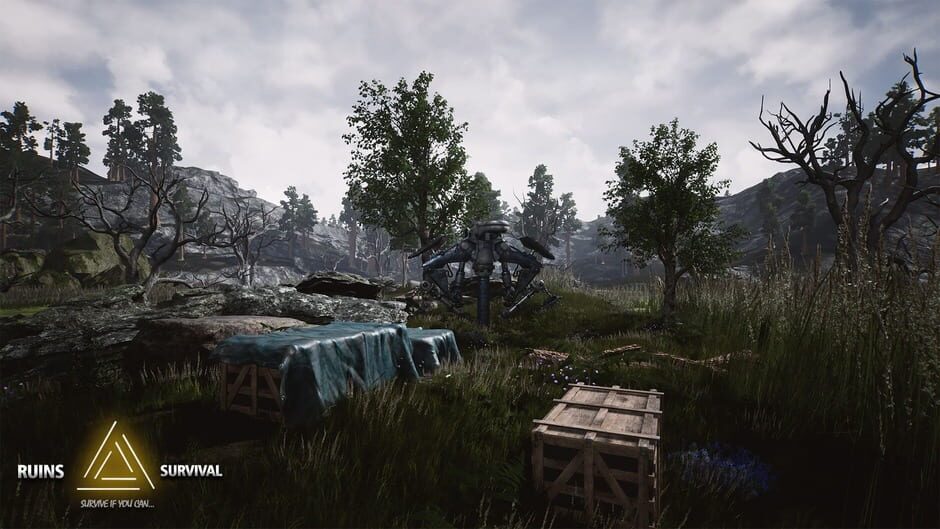 Capture de Ruins Survival