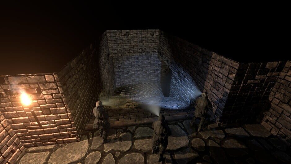 The Dungeon Paradox Screenshot