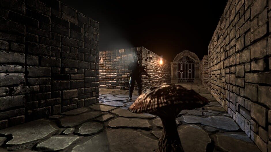 The Dungeon Paradox Screenshot