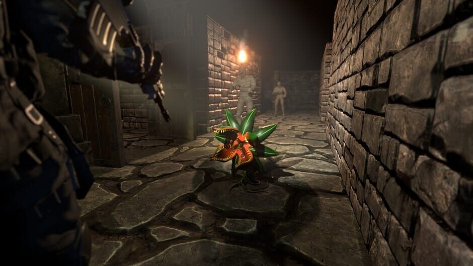 The Dungeon Paradox Screenshot