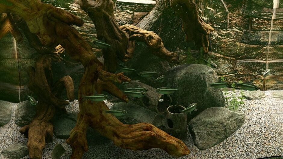 Biotope: Aquarium Simulator Screenshot