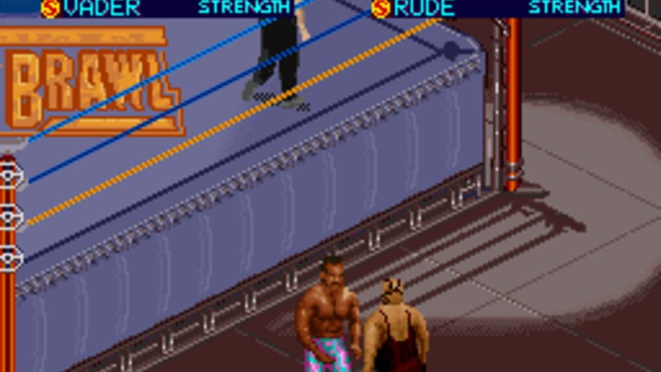 WCW SuperBrawl Wrestling screenshot