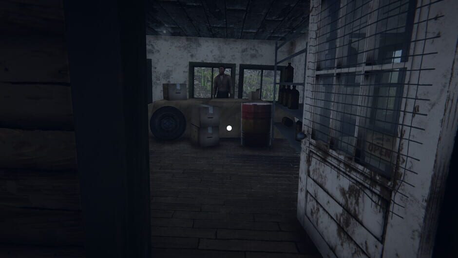 Border Officer Screenshot