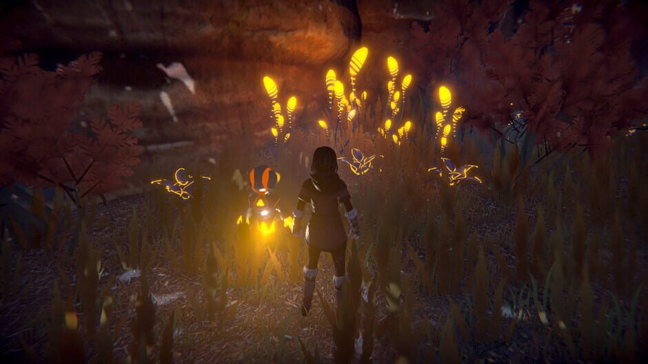 Seed of Life Screenshot