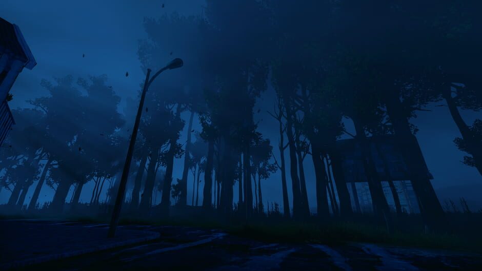 Nightwalk screenshot